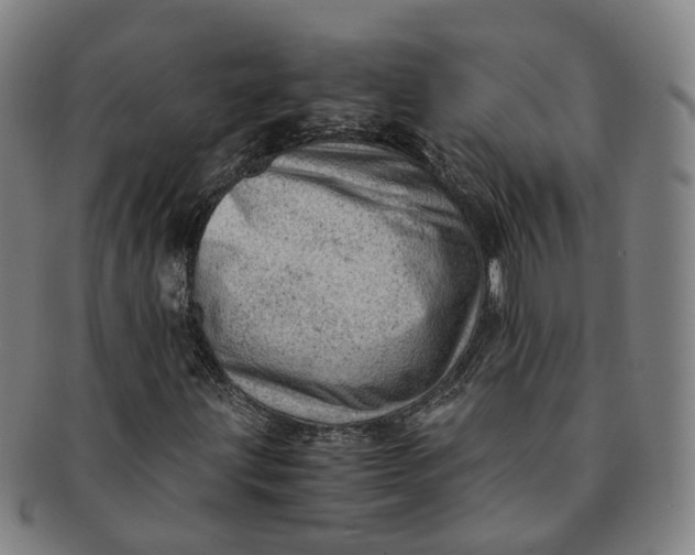 X0000091011203200708241504