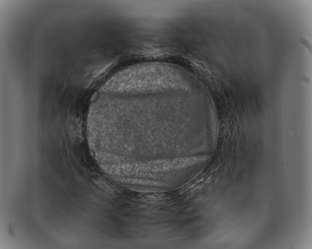 X0000091011205200708241504