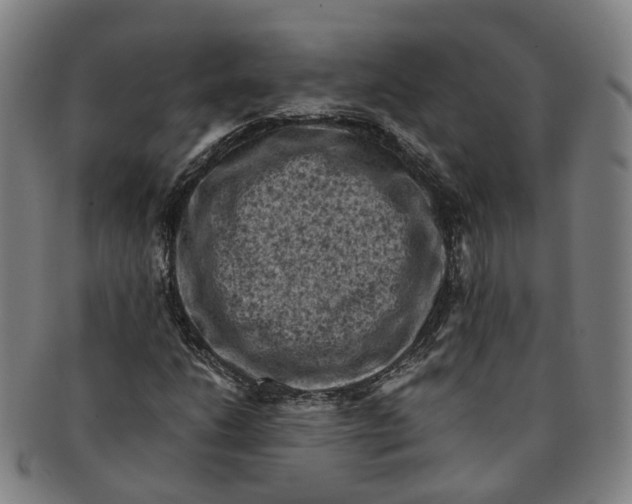 X0000091011206200708241504