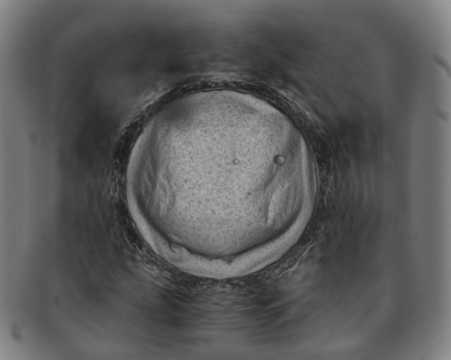 X0000091011207200708241504