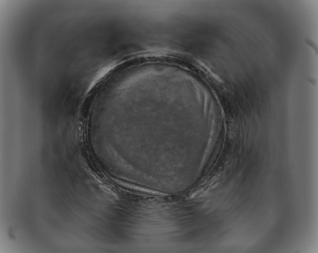 X0000091011208200708241504