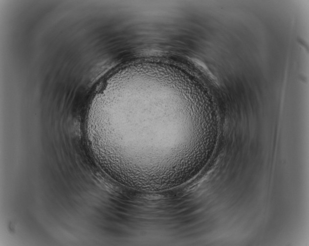 X0000091011209200708241504