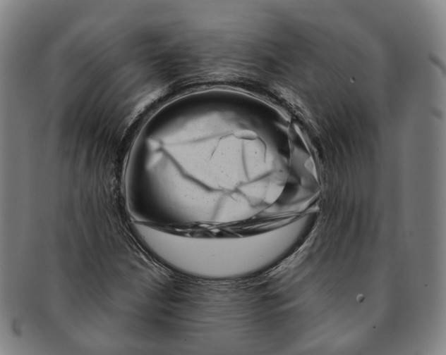 X0000091011210200708241504