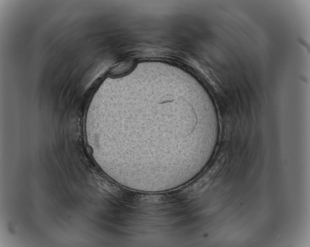 X0000091011211200708241504