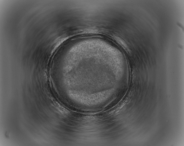 X0000091011212200708241504