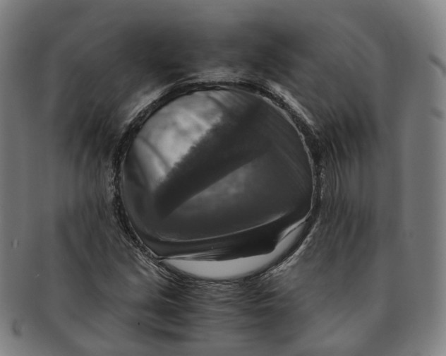 X0000091011213200708241505