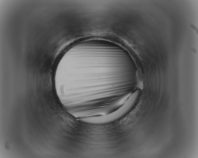 X0000091011214200708241505