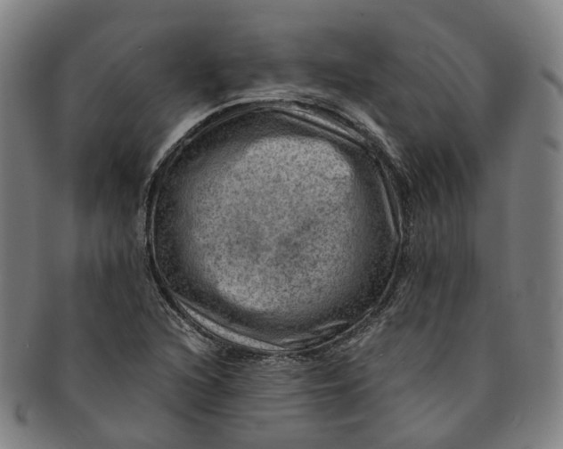 X0000091011216200708241505