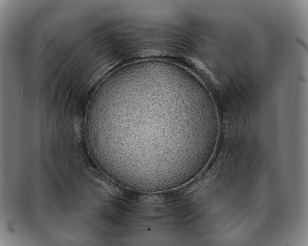 X0000091011217200708241505