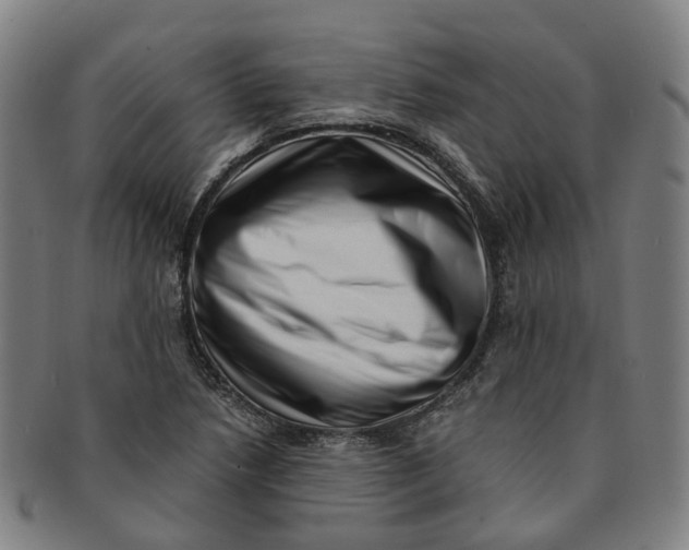 X0000091011218200708241505