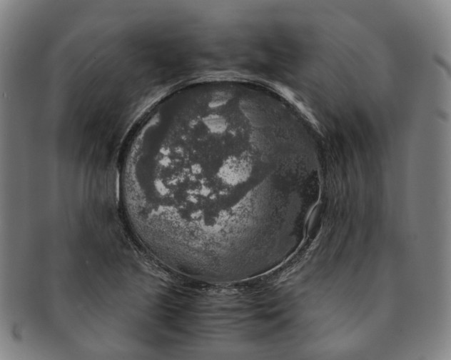 X0000091011221200708241505