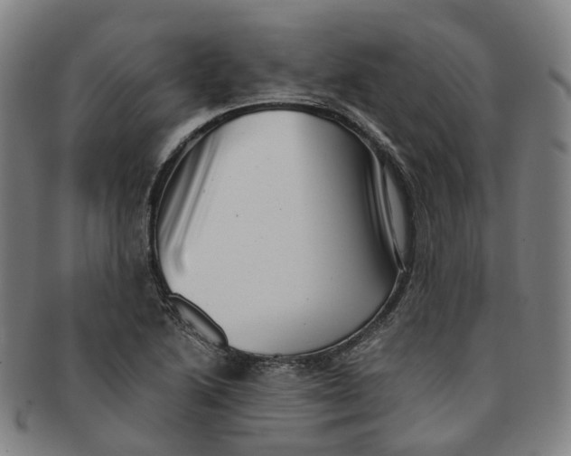 X0000091011222200708241505