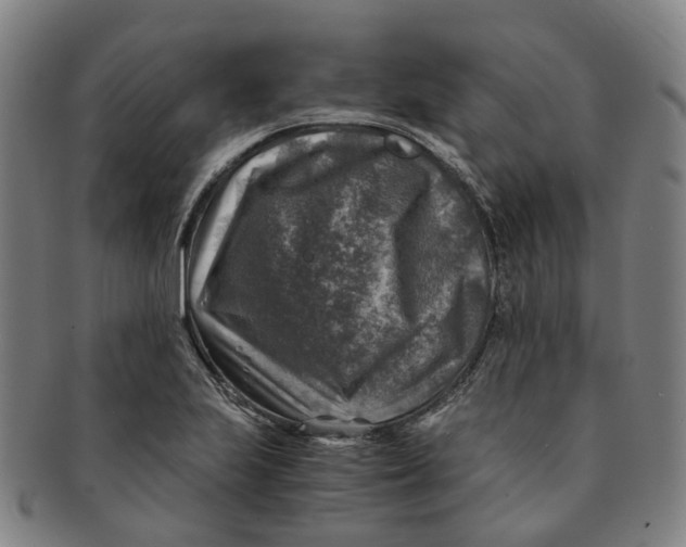 X0000091011223200708241505