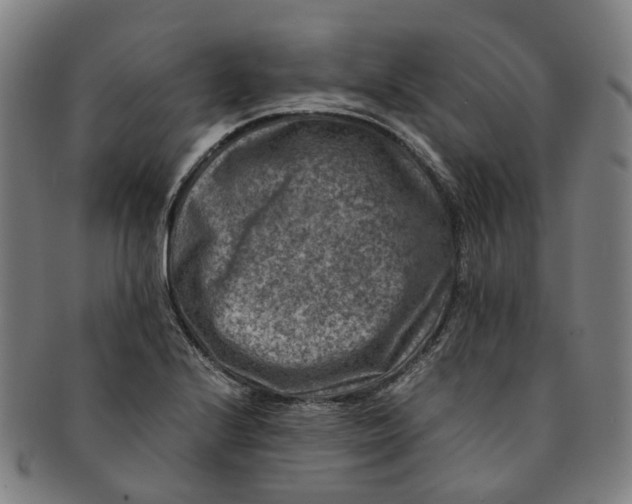 X0000091011224200708241505