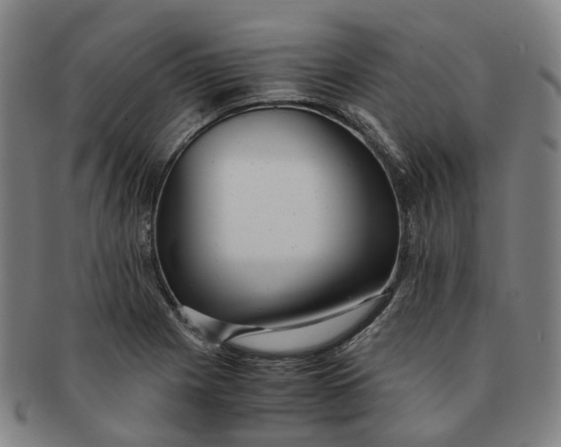 X0000091011225200708241505