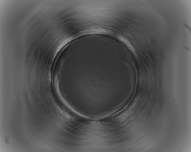 X0000091011226200708241505