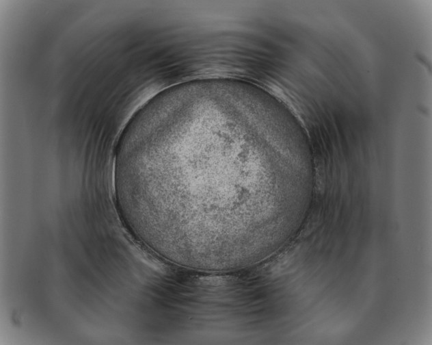 X0000091011227200708241505