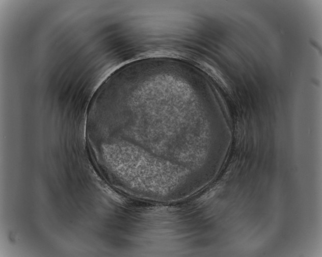 X0000091011228200708241505