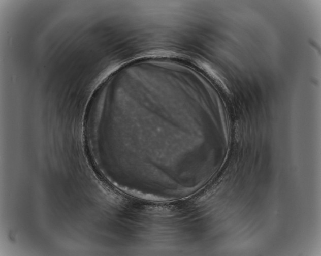 X0000091011229200708241505