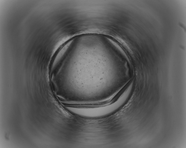 X0000091011230200708241505