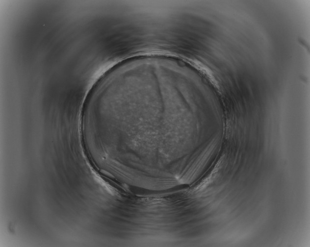 X0000091011231200708241505