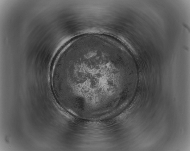 X0000091011232200708241505