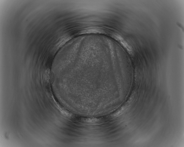 X0000091011233200708241505