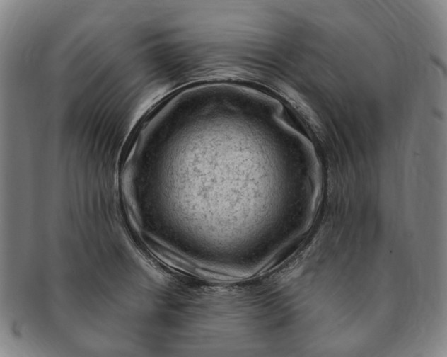 X0000091011234200708241505