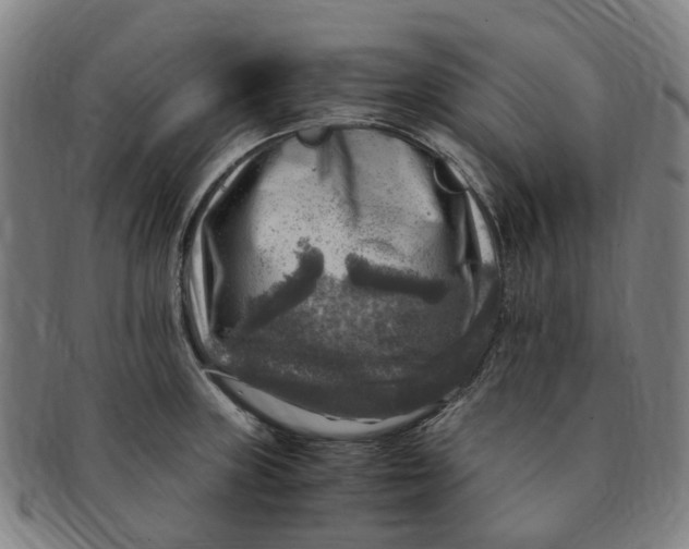 X0000091011235200708241505