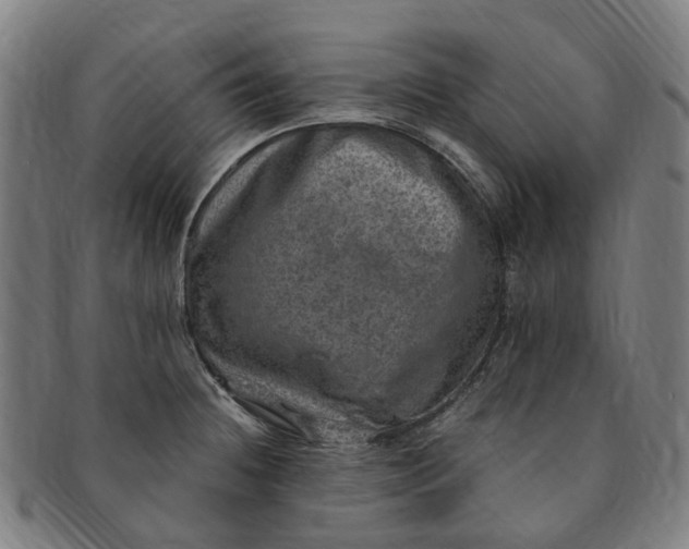 X0000091011236200708241505