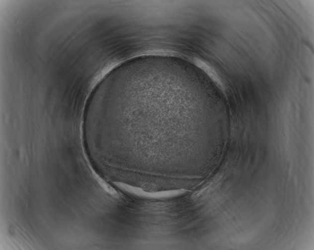 X0000091011237200708241505