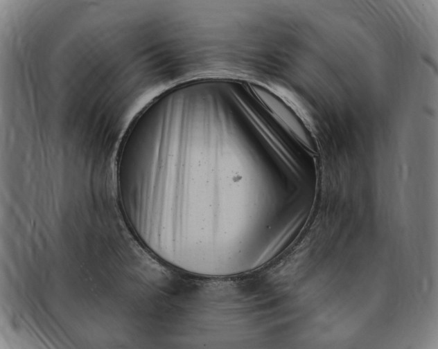 X0000091011238200708241505