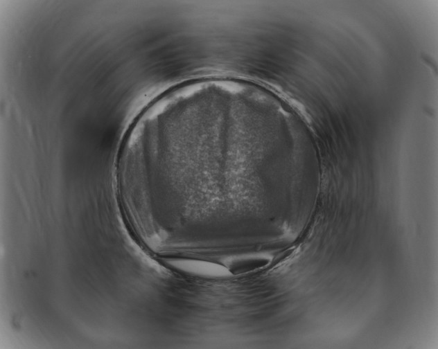 X0000091011239200708241505