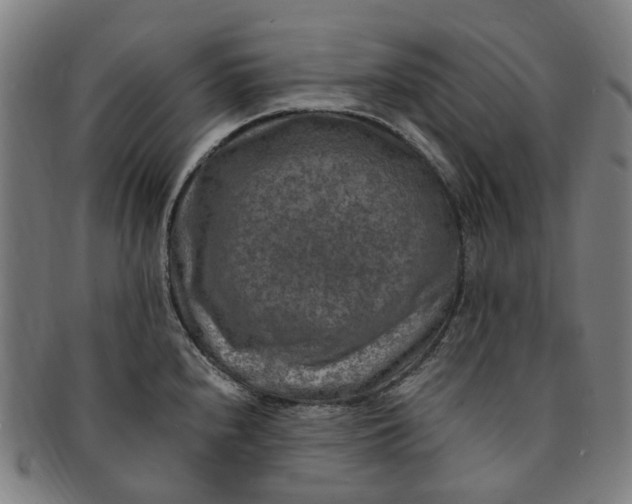 X0000091011240200708241505