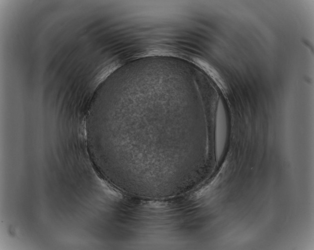 X0000091011241200708241505