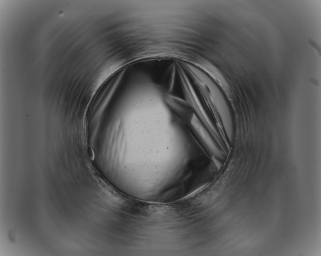 X0000091011242200708241505