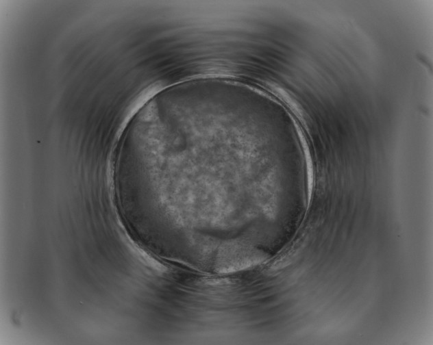 X0000091011243200708241505