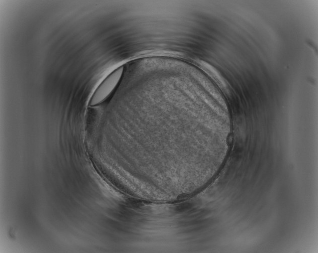 X0000091011244200708241505