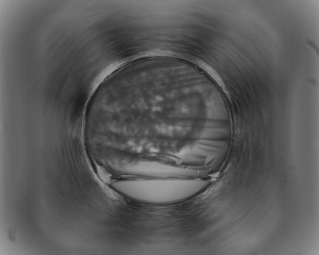 X0000091011245200708241505