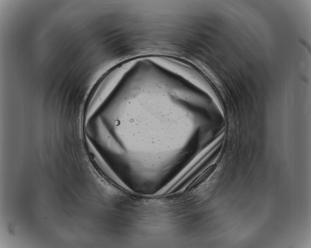 X0000091011246200708241505