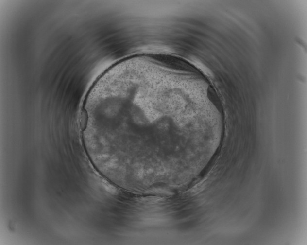 X0000091011248200708241505