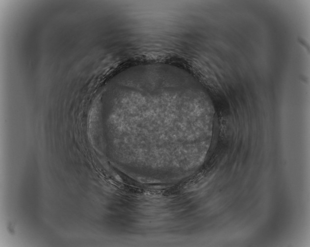 X0000091011249200708241504