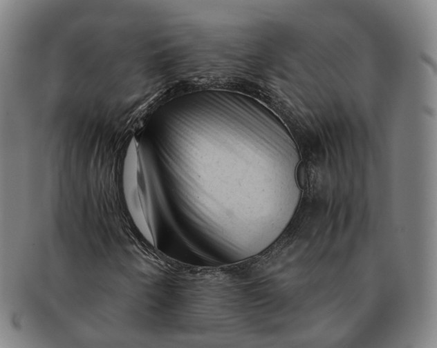 X0000091011250200708241504