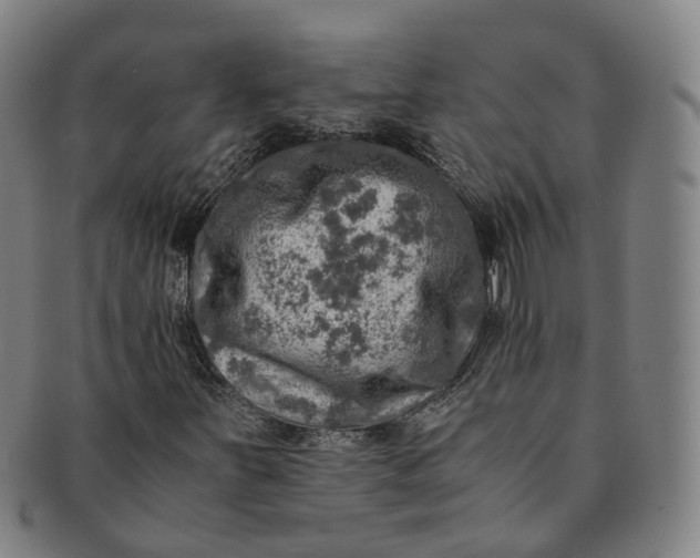 X0000091011251200708241504