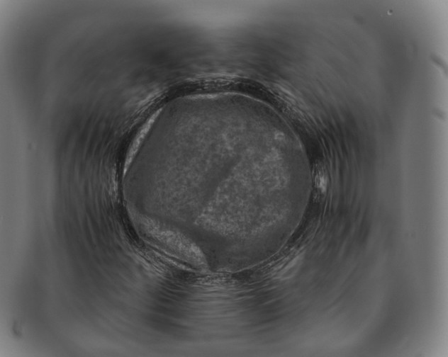 X0000091011252200708241504