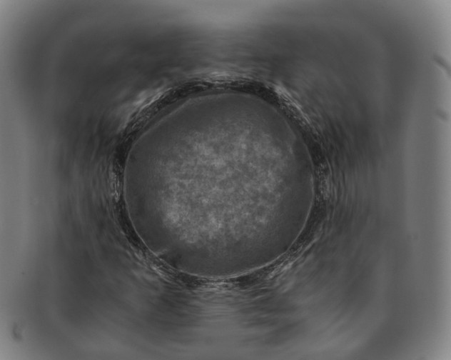 X0000091011253200708241504