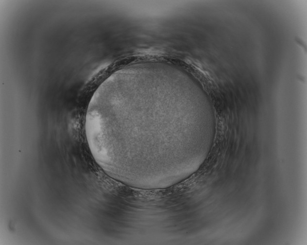 X0000091011254200708241504