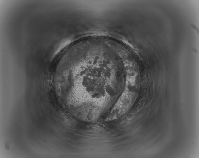 X0000091011255200708241504