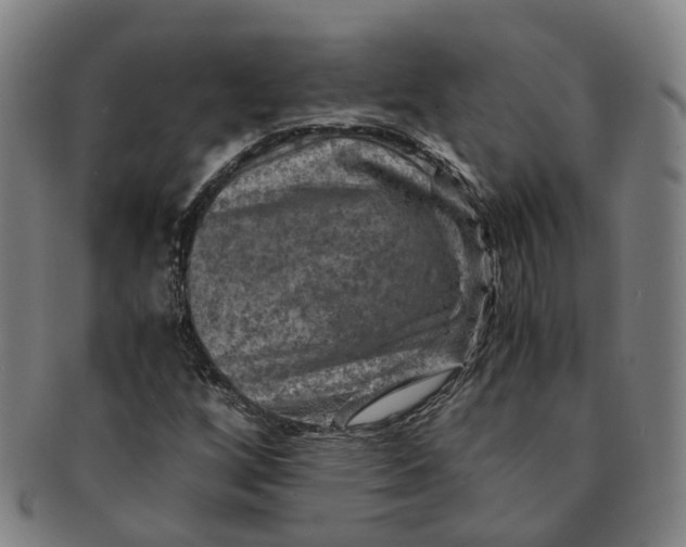 X0000091011256200708241504