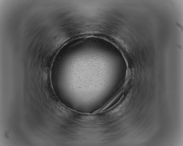 X0000091011257200708241504